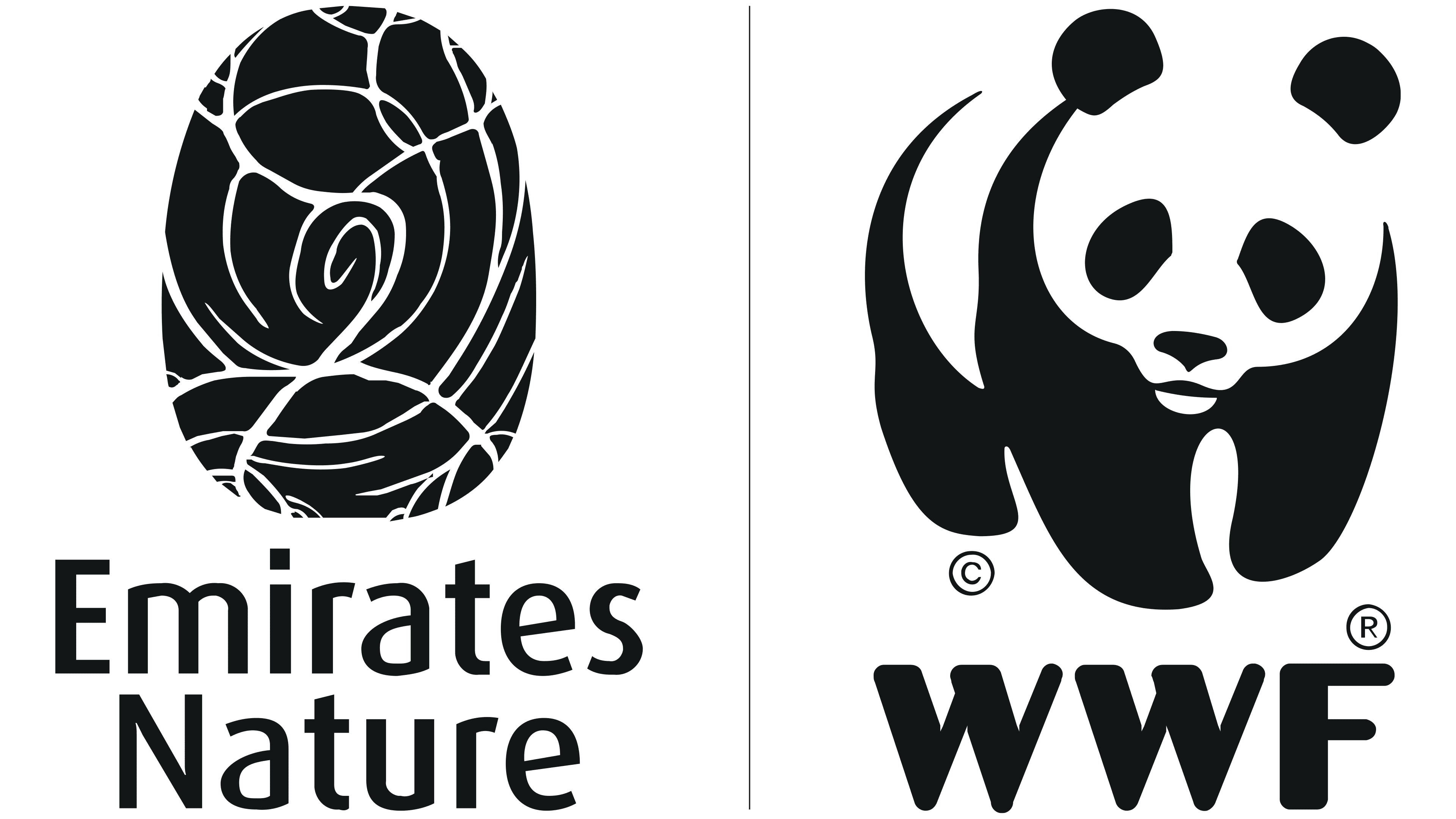 The world wildlife fund is. Всемирный фонд дикой природы WWF. Марко Ламбертини. Всемирный фонд дикой природы эмблема. Логотип Панда WWF.