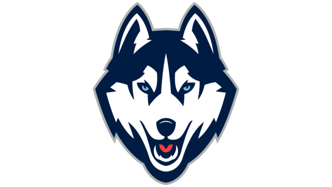 UConn Huskies Logo 2013-heute